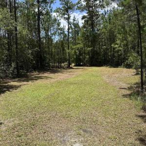 Photo #3 of 218 Samworth Loop, Georgetown, SC 5.1 acres