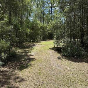 Photo #2 of 218 Samworth Loop, Georgetown, SC 5.1 acres