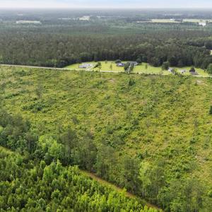 Bird's eye view of a heavily wooded area