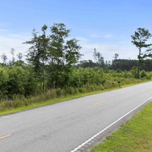 View of asphalt road featuring a forest view
