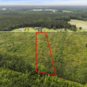 Overview of rural landscape featuring a forest and