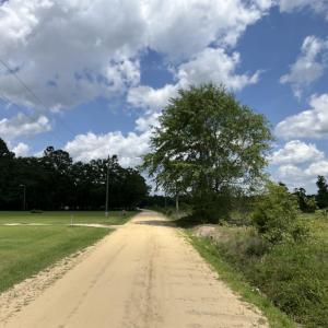 View of dirt / gravel road