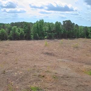 View of wooded area