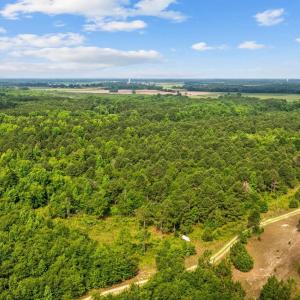 Drone / aerial view of a heavily wooded area