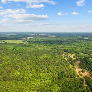 Drone / aerial view of a heavily wooded area