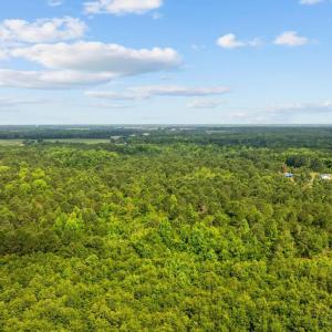 Bird's eye view of a heavily wooded area