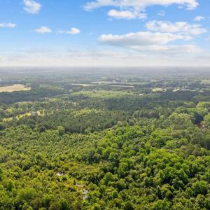 Aerial view of a heavily wooded area