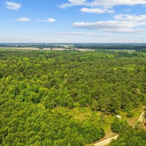 Bird's eye view of a heavily wooded area