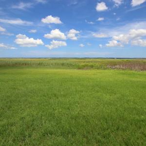 View of undeveloped land featuring rural landscape