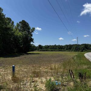 View of asphalt road with a view of trees