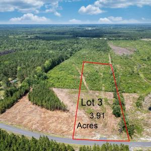 Photo #1 of TBD Bellaire Dr., Nichols, SC 3.9 acres