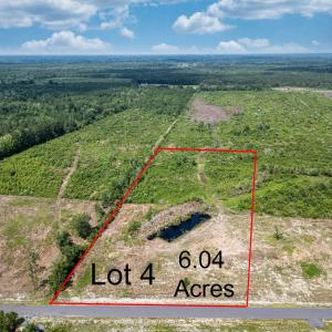 Photo #1 of TBD Bellaire Dr., Nichols, SC 6.0 acres