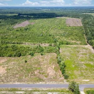 Bird's eye view of a heavily wooded area