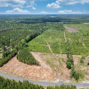 Bird's eye view of a heavily wooded area