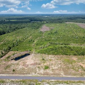 Aerial view of a heavily wooded area