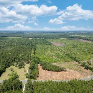 Aerial view of a heavily wooded area