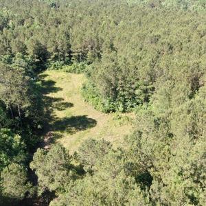 Aerial view of property's location with a forest