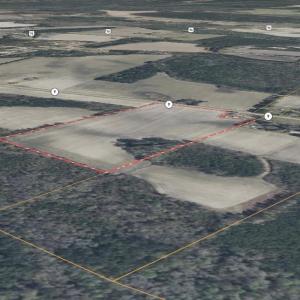 Photo #7 of Highway 9, Nichols, SC 21.5 acres