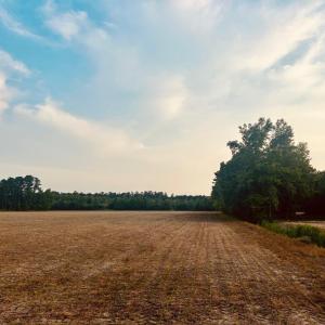 Photo #2 of Highway 9, Nichols, SC 21.5 acres