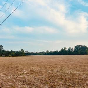 Photo #1 of Highway 9, Nichols, SC 21.5 acres