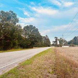 Photo #4 of Highway 9, Nichols, SC 21.5 acres