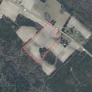 Photo #6 of Highway 9, Nichols, SC 21.5 acres