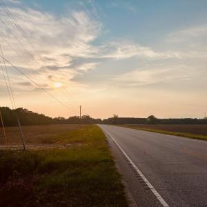 Photo #5 of Highway 9, Nichols, SC 21.5 acres