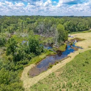 Drone / aerial view of a heavily wooded area