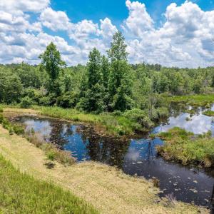 Water view featuring a forest