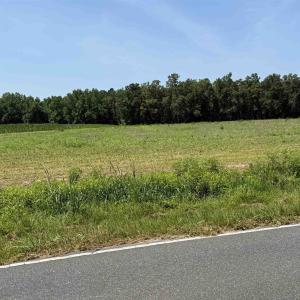Photo #9 of TBD Highway 668, Conway, SC 15.0 acres