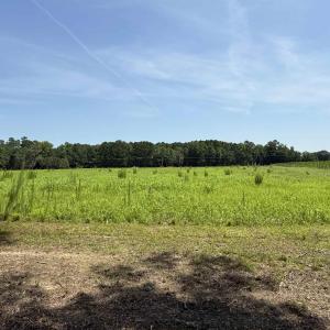 Photo #4 of TBD Highway 668, Conway, SC 15.0 acres