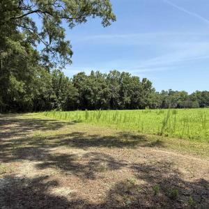 Photo #3 of TBD Highway 668, Conway, SC 15.0 acres