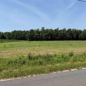 Photo #8 of TBD Highway 668, Conway, SC 15.0 acres