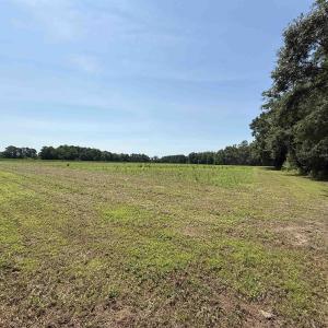 Photo #7 of TBD Highway 668, Conway, SC 15.0 acres