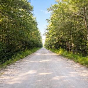 Photo #1 of TBD Wolf Pit Bay Rd., Nichols, SC 6.9 acres