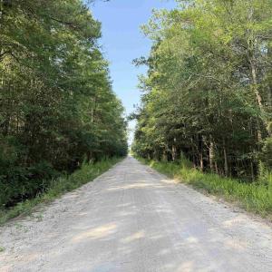 Photo #7 of TBD Wolf Pit Bay Rd., Nichols, SC 6.9 acres