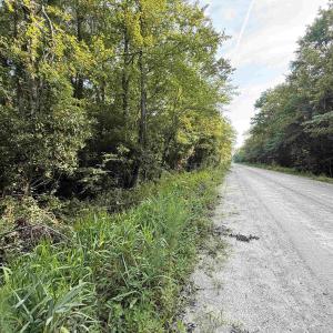 Photo #3 of TBD Wolf Pit Bay Rd., Nichols, SC 6.9 acres