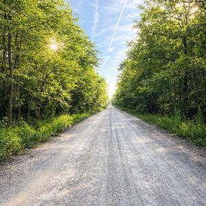 Photo #9 of TBD Wolf Pit Bay Rd., Nichols, SC 6.9 acres