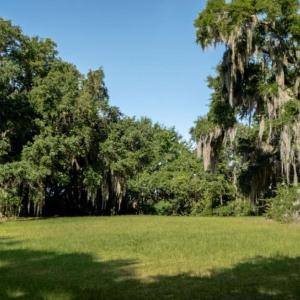 Photo #16 of 313 Rossdhu Ave., Pawleys Island, SC 2.4 acres