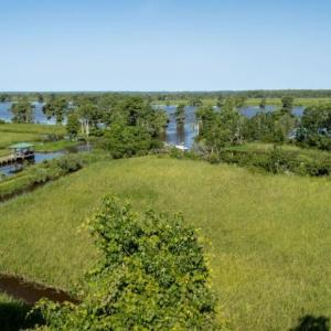 Photo #15 of 313 Rossdhu Ave., Pawleys Island, SC 2.4 acres