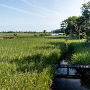 Photo #12 of 313 Rossdhu Ave., Pawleys Island, SC 2.4 acres