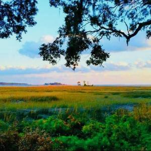 Nature at dusk with a rural view