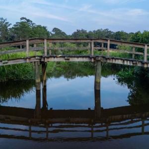 Photo #3 of 313 Rossdhu Ave., Pawleys Island, SC 2.4 acres