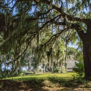 Photo #18 of 313 Rossdhu Ave., Pawleys Island, SC 2.4 acres