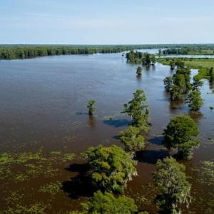 Photo #11 of 313 Rossdhu Ave., Pawleys Island, SC 2.4 acres