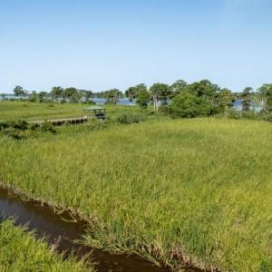 Photo #14 of 313 Rossdhu Ave., Pawleys Island, SC 2.4 acres