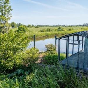 Photo #10 of 313 Rossdhu Ave., Pawleys Island, SC 2.4 acres