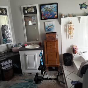 Photo #19 of 270/274/284 Morris Rd., Conway, SC 2.6 acres