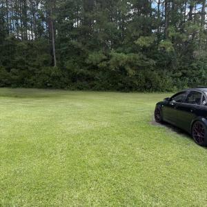 Photo #3 of 270/274/284 Morris Rd., Conway, SC 2.6 acres