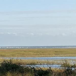 Photo #3 of TBD Jacks Circle Rd., North Myrtle Beach, SC 1.8 acres